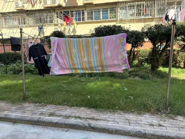 聚向心力提升居民幸福感凯发K8国际娱乐文明凝(图1)